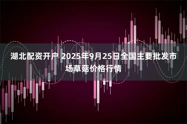 湖北配资开户 2025年9月25日全国主要批发市场草菇价格行情