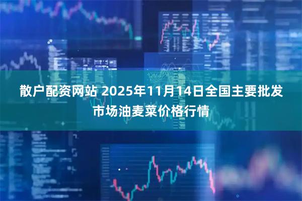 散户配资网站 2025年11月14日全国主要批发市场油麦菜价格行情